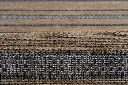 ZLV01-6.webp