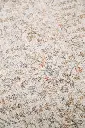 AK8A8906.webp