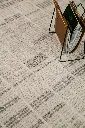 AK8A0803.webp