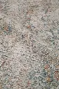 AK8A9185.webp
