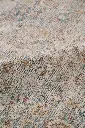 AK8A9194.webp