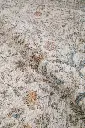 AK8A9125.webp
