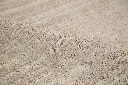 AK8A0709.webp