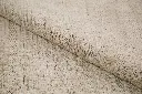 AK8A0714.webp